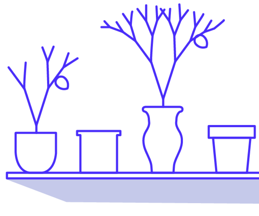 Illustration of plants on a window